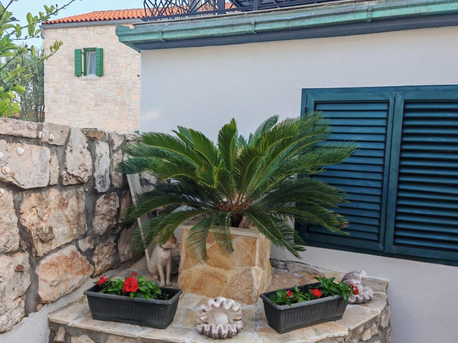Apartments Liljana Privlaka Luaran gambar